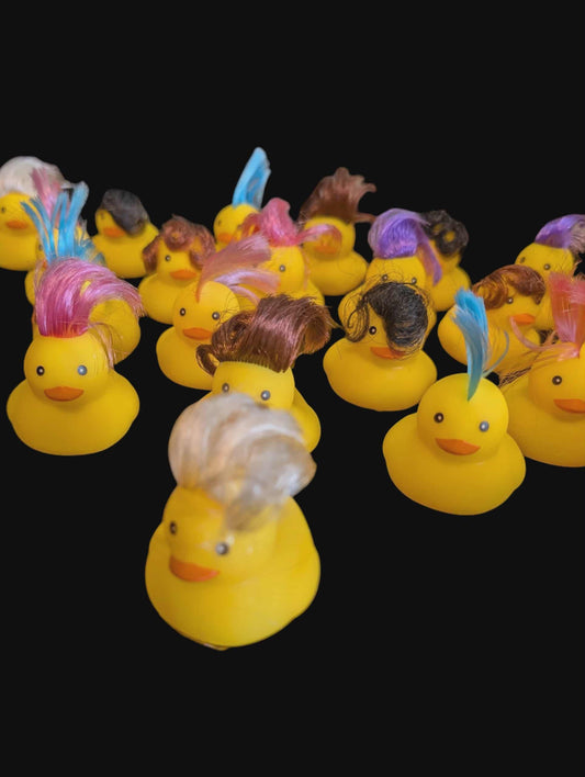 Rubber Ducks (varied)