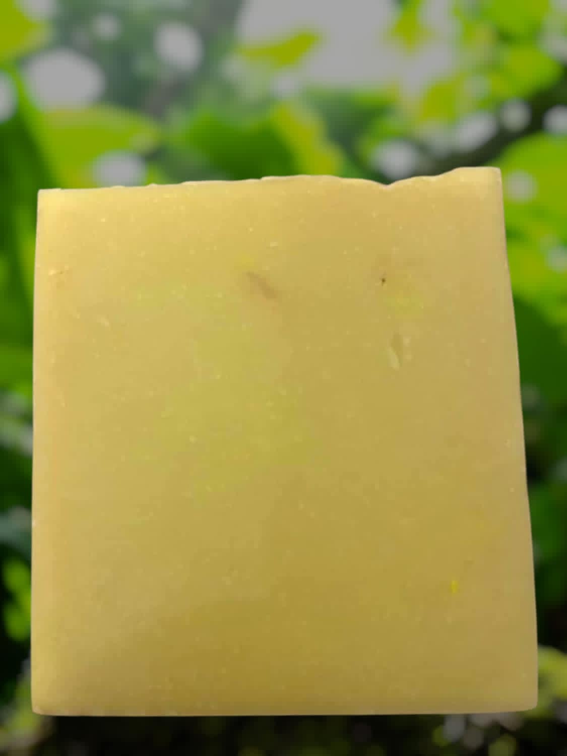 Monkey Farts - Handcrafted Soap