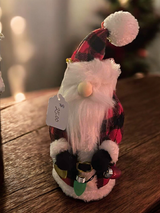 Santa Gnome